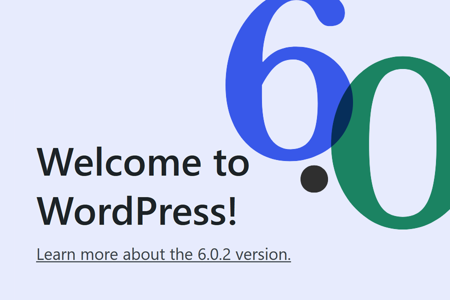 Welcome to WordPress 6.0.2