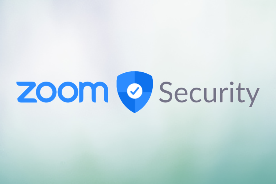 Zoom Security logo